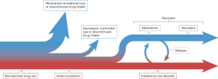 Remission from addiction: erasing the wrong circuits or making new ones?