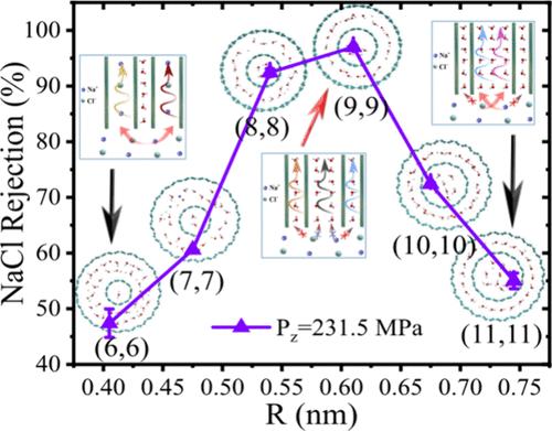 Double-Walled Carbon Nanotubes Enable Breakdown of the Trade-off between Ion Selectivity and Water Permeability