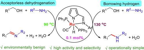 Temperature-dependent switchable synthesis of imines and amines via coupling of alcohols and amines using pyrrolyl-imine ruthenium catalysts