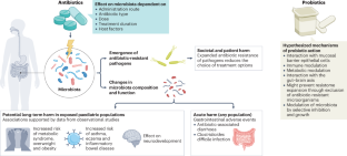 Antibiotic-perturbed microbiota and the role of probiotics