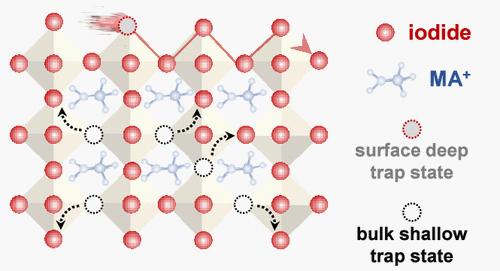 Specific Influences of Trap States with Distinct Spatial and Energetic Distributions on Ion Migration Dynamics in Metal Halide Perovskites