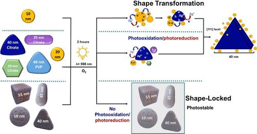 Enlighted: Silver Nanoparticles Undergo Photoinduced Shape Transformations and Are Photostable When Coated with Hybrid Lipid Membranes