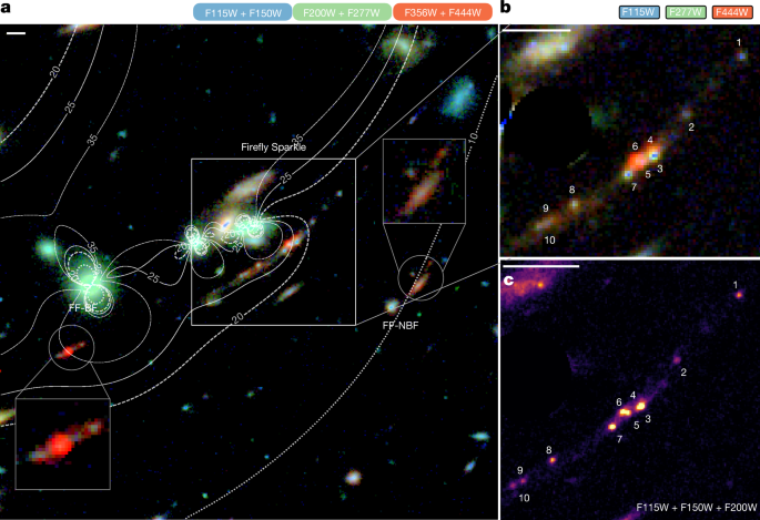 Formation of a low-mass galaxy from star clusters in a 600-million-year-old Universe
