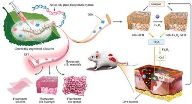 An Efficient Biosynthetic System for Developing Functional Silk Fibroin-Based Biomaterials