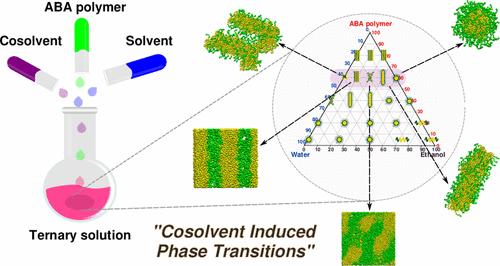 Effect of Block Copolymer Concentration and Water–Ethanol Ratio on Phase Transitions of Pluronics Using Molecular Dynamics Simulations