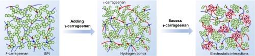 Enhancement mechanism of ι-carrageenan on the network structure and gel-related properties of soy protein isolate/λ-carrageenan system