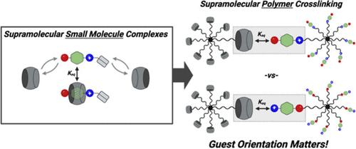 Impact of Guest Orientation in Host–Guest Supramolecular Hydrogels