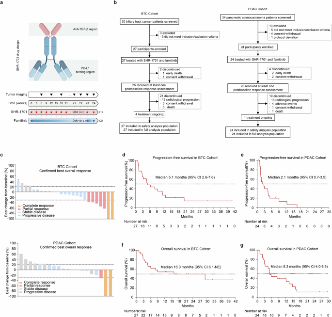 Clinical and biomarker analyses of SHR-1701 combined with famitinib in patients with previously treated advanced biliary tract cancer or pancreatic ductal adenocarcinoma: a phase II trial