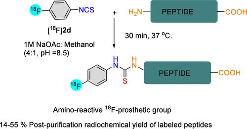 Synthesis and Application of 1-[18F]Fluoro-4-isothiocyanatobenzene for Radiofluorination of Peptides in Aqueous Medium