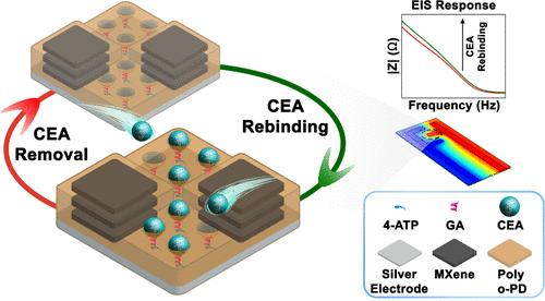 MXene Nanoconfinement of SAM-Modified Molecularly Imprinted Electrochemical Biosensor for Point-of-Care Monitoring of Carcinoembryonic Antigen