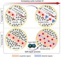 Shear-banding dynamic and self-repair mechanism of CuZr metallic glass subjected to cyclic nanoindentation: Experiment and molecular dynamic simulation