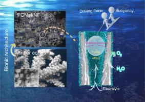 Coral-like FeCoNi alloy/layered double hydroxides/nickel foam for enhancing mass transfer in oxygen evolution reactions