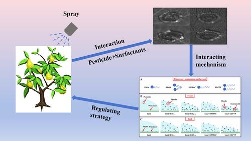 Mechanism and strategy of self-assembly of quaternary ammonium surfactant molecules to regulate pesticide droplet impact and wetting of hydrophobic surfaces