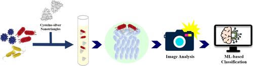 Machine Learning-Assisted Liquid Crystal Optical Sensor Array Using Cysteine-Functionalized Silver Nanotriangles for Pathogen Detection in Food and Water.