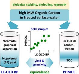 Quantification of high molecular weight organic carbon concentrations with LC-OCD and PHMOC for biological stability investigation of drinking water produced from surface water