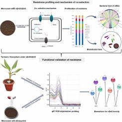 Co-resistance is the dominant mechanism of co-selection and dissemination of antibiotic resistome in nano zinc oxide polluted soil