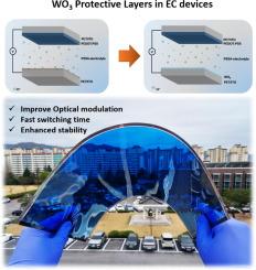 Scalable flexible electrochromic devices with WO3-Based ion storage layer for enhanced optical modulation and stability