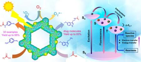 Prolonging triplet-state lifetimes to boost the energy and electron transfer in conjugated organic polymers for photocatalytic amide formation