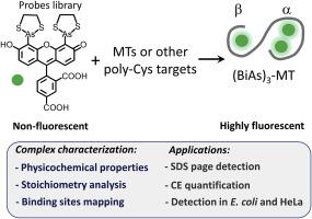 Biarsenical-based fluorescent labeling of metallothioneins as a method for ultrasensitive quantification of poly-Cys targets