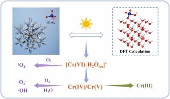 Freezing-driven reduction of chromium(Ⅵ) in ice under solar light without external reductants