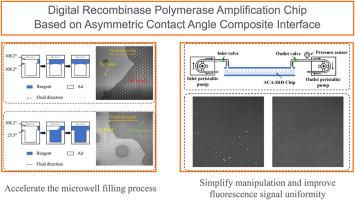 Digital recombinase polymerase amplification chip based on asymmetric contact angle composite interface