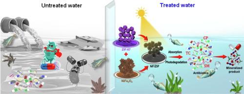 Real sample analysis of persistent Contaminant abatement via synergistic adsorption and Visible-Light Catalysis in continuous flow Reactors