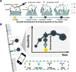 Selective surface passivation of gold nanoparticles: A strategy for enhanced sensitivity in lateral flow immunoassay