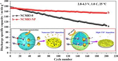 Nb5+ ions doping and Li3PO4 artificial layer synergetic strategy to strengthen structure, stabilize interface, and promote ions migration for high-performance Ni-rich cathode