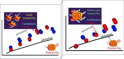 Synergetic Effects of Soil Organic Matter Components During Interactions with Minerals