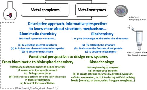Bioinorganic Chemistry: A Field Where Biomimetism and Bioinspiration Are Central