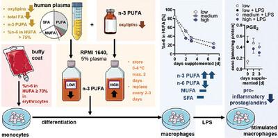 An Optimized Ex Vivo n–3 PUFA Supplementation Strategy for Primary Human Macrophages Shows That DHA Suppresses Prostaglandin E2 Formation