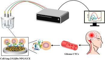 A label-free electrochemical biosensor based on graphene quantum dots-nanoporous gold nanocomposite for highly sensitive detection of glioma cell