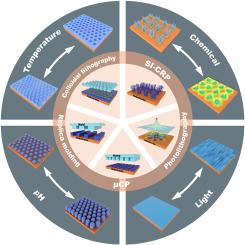 Functional stimuli-responsive polymers on micro- and nano-patterned interfaces