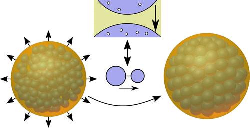 Permeation Network Model for the Swelling of Water-in-Oil-in-Water (W/O/W) Emulsions