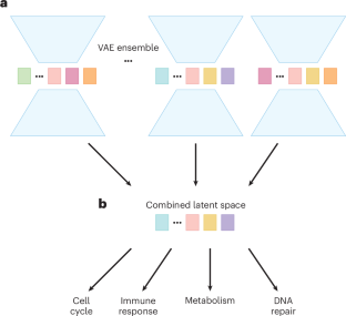 Latent spaces for tumour transcriptomes