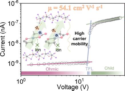 Stable Hard X-ray Detectors by High-Charge-Mobility Two-Dimensional Cu(Gly)2Pb2Br4 Single Crystal