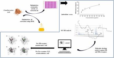 Optimizing Camelina sativa oil extraction and its cytotoxicity using RSM by emphasis on antioxidant properties, physical characteristics, and molecular docking insights