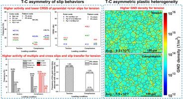 Statistical investigation on the tension-compression asymmetry of slip behavior and plastic heterogeneity in an aged Mg-10Y sheet