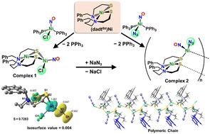 A sulfur-templated Ni–Ni′ coordination polymer that relies on a polarizable nickel nitrosyl hub