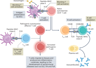 Antigen-specific immunotherapies for autoimmune disease