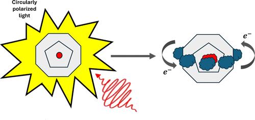 Laser-Induced Circular Charge Migration in Endohedral Fullerenes in the Presence of Ionization