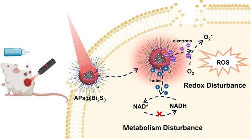 A Polypeptosome Spray To Heal Antibiotic-Resistant Bacteria-Infected Wound by Photocatalysis-Induced Metabolism-Interference