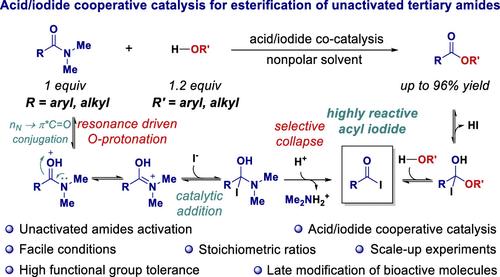 Acid/Iodide Cooperative Catalysis for Highly Chemoselective Esterification of Unactivated Tertiary Amides via Electrophilic N−C(O) Activation