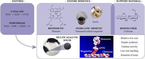 Synthesis and characterization of a novel catalyst based on magnetic chitosan beads for oxidoreductase enzyme biomimetic immobilization