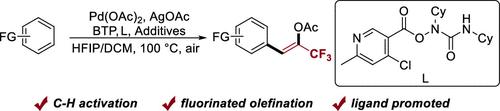 Palladium-Catalyzed Fluorinated Olefination of Aromatics