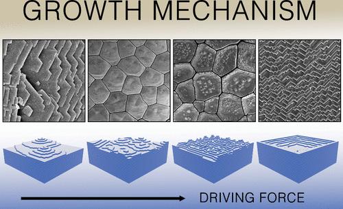 Classical View on Nonclassical Crystal Growth in a Biological Setting