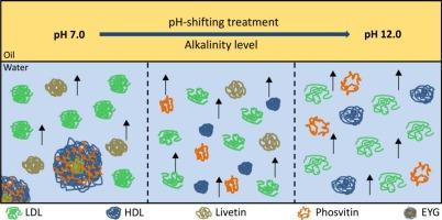 Disturbing egg yolk protein structure via pH-shifting treatment for interface reorganization: Improving solubility to enhance oil-water interface adsorption and emulsification properties