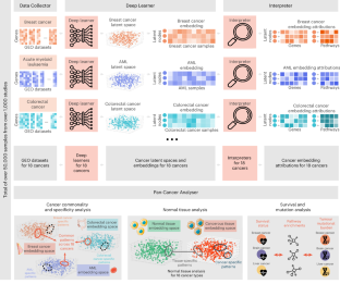 Deep profiling of gene expression across 18 human cancers