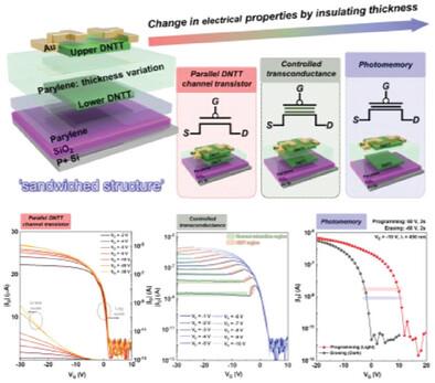 Tunneling Dielectric Thickness-Dependent Behaviors in Transistors Based on Sandwiched Small Molecule and Insulating Layer Structures