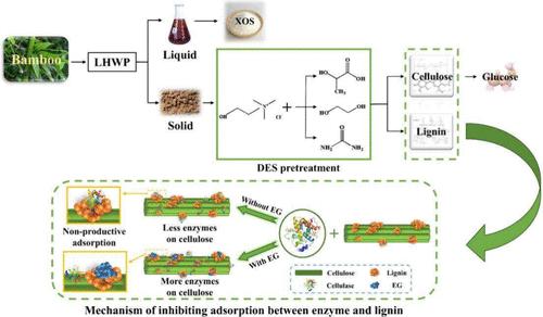 Modification of Condensed Lignin by Deep Eutectic Solvents: Insight into the Mechanism of Improving the Enzymatic Saccharification